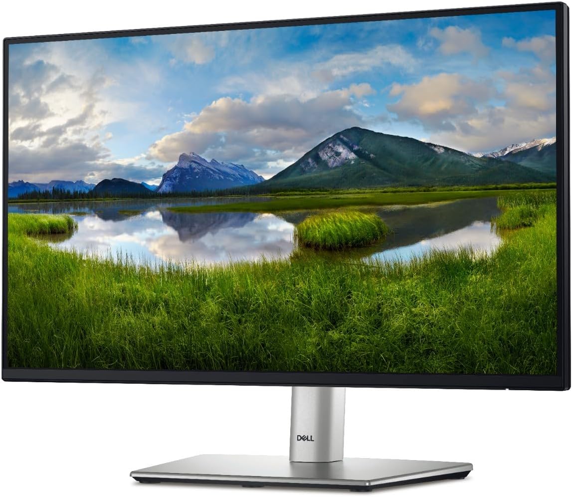 DELL P2425H MONITOR 24"